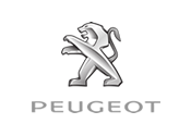 Katalysator PEUGEOT